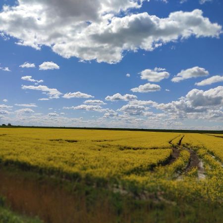 Suederdeich Lägenhet Koldenbuttel Exteriör bild