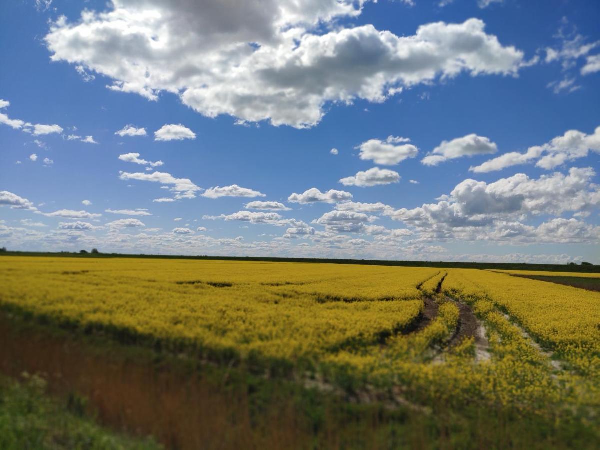 Suederdeich Lägenhet Koldenbuttel Exteriör bild